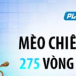 mèo chiêu tài lộc Fun88