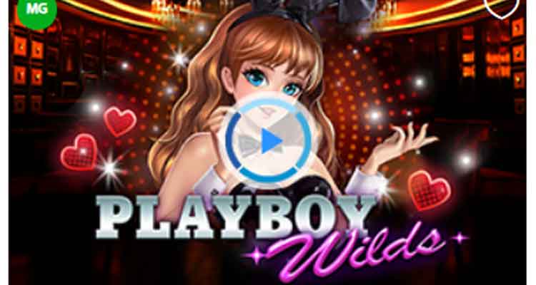 Review slot game hot nhất tại Fun88 hiện nay: Playboy Wilds