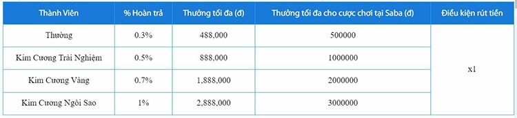 Hoàn trả Copa America