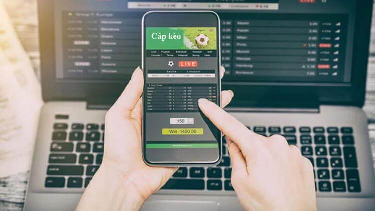 các hình thức cáp kèo