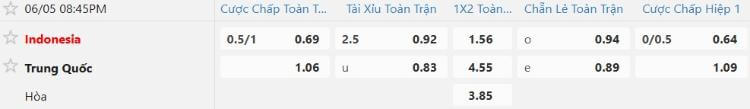 Tỷ lệ kèo Indonesia vs Trung Quốc