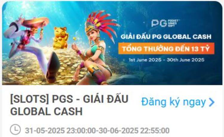 Giải đấu PGS