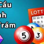 soi cầu quả trám
