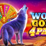 Wolf Gold 4 Pack